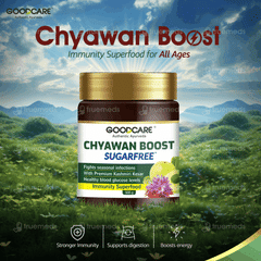 Goodcare Chyawan Boost Sugarfree 500Gm